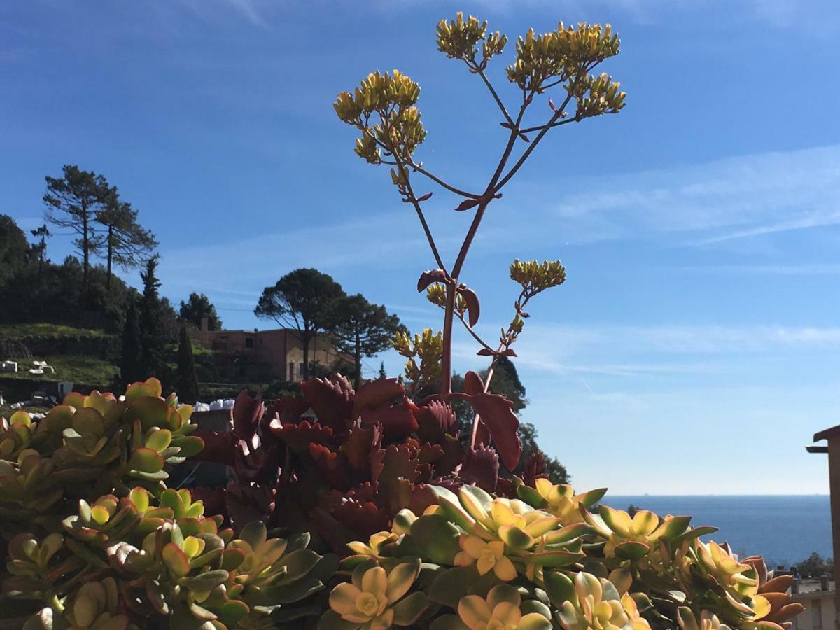 Cinqueterreblu Bougainvilleap Monterosso al Mare Exterior photo